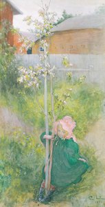 Appleblossom，1894年 作者 卡尔·拉森