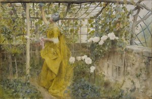 The Vine，1884（纸上写着） 作者 卡尔·拉森