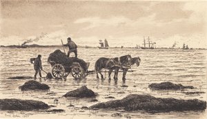 农民种植海藻 作者 Carl Locher