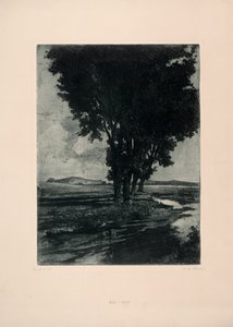 黑杨树 作者 卡尔·玛丽亚·图玛