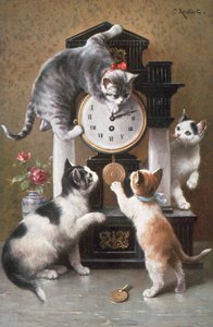 猫明信片（彩色平版）