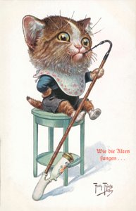 幽默猫明信片（彩色石版印刷） 作者 卡尔·罗伯特·阿瑟·蒂勒