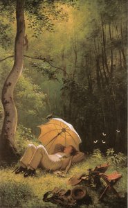 森林清理的画家