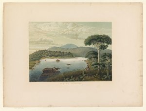 巴腾岗湖景
Telaga Patengan（物品上的标题）
爪哇作品图集（实物上的系列标题）
包含十一个风景如画的景点的图版地图册，属于爪哇作品，其形状、植物排列和内部构造（序号 作者 荷兰皇家 Steendrukkerij van CW Mieling
