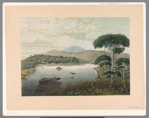 爪哇 Patenggang 湖的景色