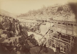 1891 年，奥罗维尔，金羽毛公司，放入电梯（照片） 作者 卡尔顿·埃蒙斯·沃特金斯