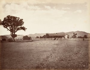 圣玛格丽塔牧场，1876年，约1876年印刷。 作者 卡尔顿·埃蒙斯·沃特金斯