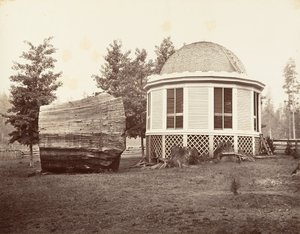 大树桩上的房子》，1865-66，约1876年印刷。 作者 卡尔顿·埃蒙斯·沃特金斯
