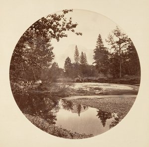 [加州优胜美地国家公园]，约1878年。 作者 卡尔顿·埃蒙斯·沃特金斯