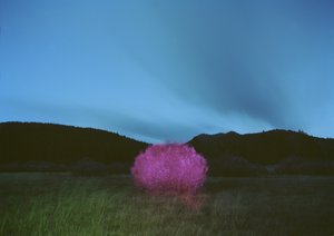 黑暗中的绘画，2015 作者 蔡嘉莉