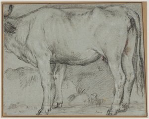 站立的牛（头不见了） 作者 哈科波·巴萨诺（Jacopo Bassano）