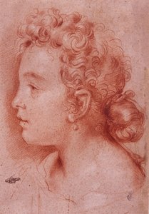 Faustina Maratti的肖像 作者 卡洛·马拉塔（Carlo Maratta）