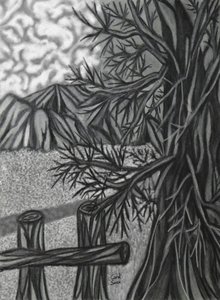 数码炭笔画-2