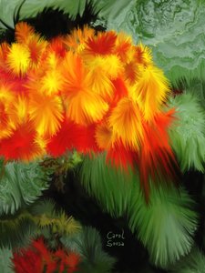花之幻想 #1