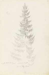 云杉 作者 卡斯珀·大卫·弗里德里希（Caspar David Friedrich）
