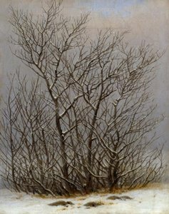 雪中的灌木丛 作者 卡斯珀·大卫·弗里德里希（Caspar David Friedrich）