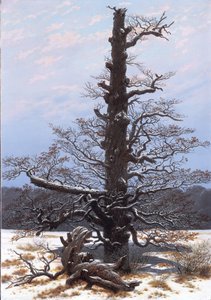 德语: Eichbaum im Schnee 雪中的橡树 作者 卡斯珀·大卫·弗里德里希（Caspar David Friedrich）