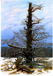 德语: Eichbaum im Schnee 雪中的橡树 作者 卡斯珀·大卫·弗里德里希（Caspar David Friedrich）