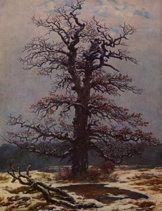 雪中橡树 作者 卡斯珀·大卫·弗里德里希（Caspar David Friedrich）