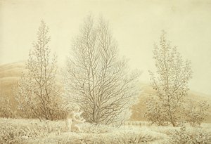 春季（铅笔和棕褐色在纸上） 作者 卡斯珀·大卫·弗里德里希（Caspar David Friedrich）