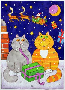 圣诞惊喜 作者 凯茜·巴克斯特（Cathy Baxter）