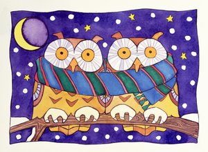 猫头鹰之夜 作者 凯茜·巴克斯特（Cathy Baxter）