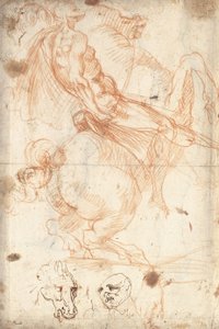 马术研究 作者 骑士d'Arpino