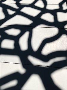 构图 - 阴影, 2021 (照片) 作者 塞西尔·贾梅特