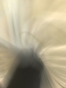 2021 年，构图（照片）