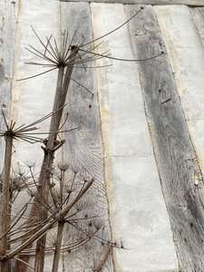 构图，建筑 2022（照片） 作者 塞西尔·贾梅特