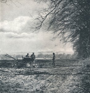 遥远的田野和犁沟，1941年