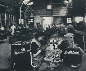 1941年检查 作者 塞西尔·比顿（Cecil Beaton）