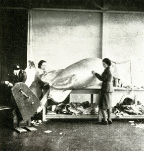 修理弹幕气球，c1943。 作者 塞西尔·比顿（Cecil Beaton）
