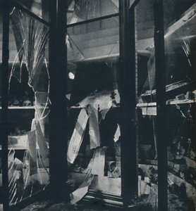 在1941年的自然历史博物馆中展示案例 作者 塞西尔·比顿（Cecil Beaton）