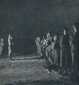 夜晚还活着，1941年 作者 塞西尔·比顿（Cecil Beaton）