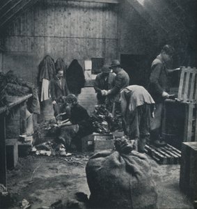 蔬菜市场，1941年