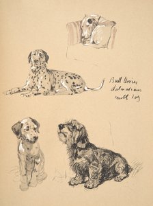 Bull Terrier，Dalmatians和Mutt Dog，1930，插图来自他的素描书，用于朋友之间，Aldin，Cecil Charles Windsor（1870-1935），后来由Eyre和Spottiswoode Limited出版， 作者 塞西尔·查尔斯·温莎·奥尔丁