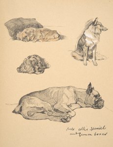 Peke，Collie，Spaniel和德国拳击手，1930年，他的素描书中的插图为&39;Just Among Friends&39;，Aldin，Cecil Charles Windsor（1870-1935），由Eyre和Spottiswoode Limited出版，1934年，C 作者 塞西尔·查尔斯·温莎·奥尔丁