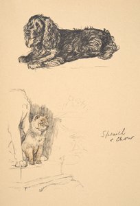 西班牙猎狗和周，1930年，插图来自他的素描书，用于朋友之间，阿尔丁，塞西尔查尔斯温莎（1870-1935），后来由艾尔和Spottiswoode有限公司出版，1934年，粉笔和字符 作者 塞西尔·查尔斯·温莎·奥尔丁