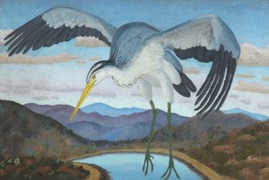 苍鹭 作者 塞德里克·莫里斯