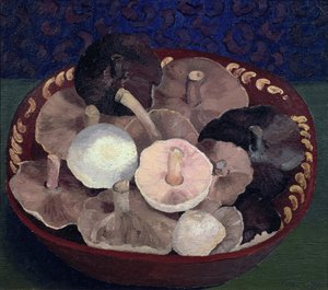 蘑菇