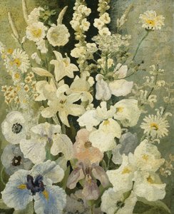 白花