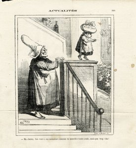 查尔文报》中的查姆（1819-1879）插图 作者 Amedee de Noe (占婆)