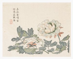 芥子园 作者 常超