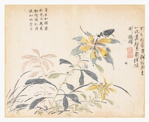 芥菜籽园 作者 晁仪（后）