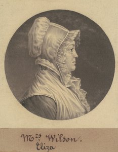 玛丽-弗莱明-刘易斯 作者 Charles BJ Fevret de Saint Memin