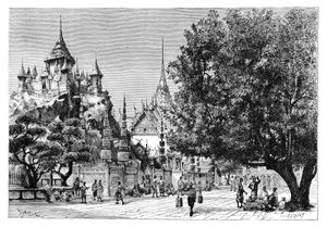 1895年，泰国曼谷的一条街道。