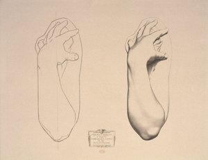 一个女人弯曲的手臂，第一卷绘图课程的板22，凹凸的模型，c.1868