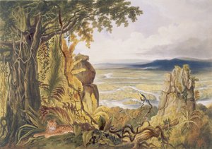 位于埃塞奎博河上的Comuti或Taquiare岩石，来自“内部的圭亚那景观”，由George Barnard（1832-90）酒吧雕刻。作者：阿克曼，1840年