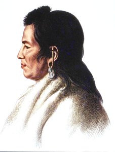 曼丹人酋长沙哈卡（大白）（彩色平版印刷）。 作者 查尔斯·伯德（继）国王